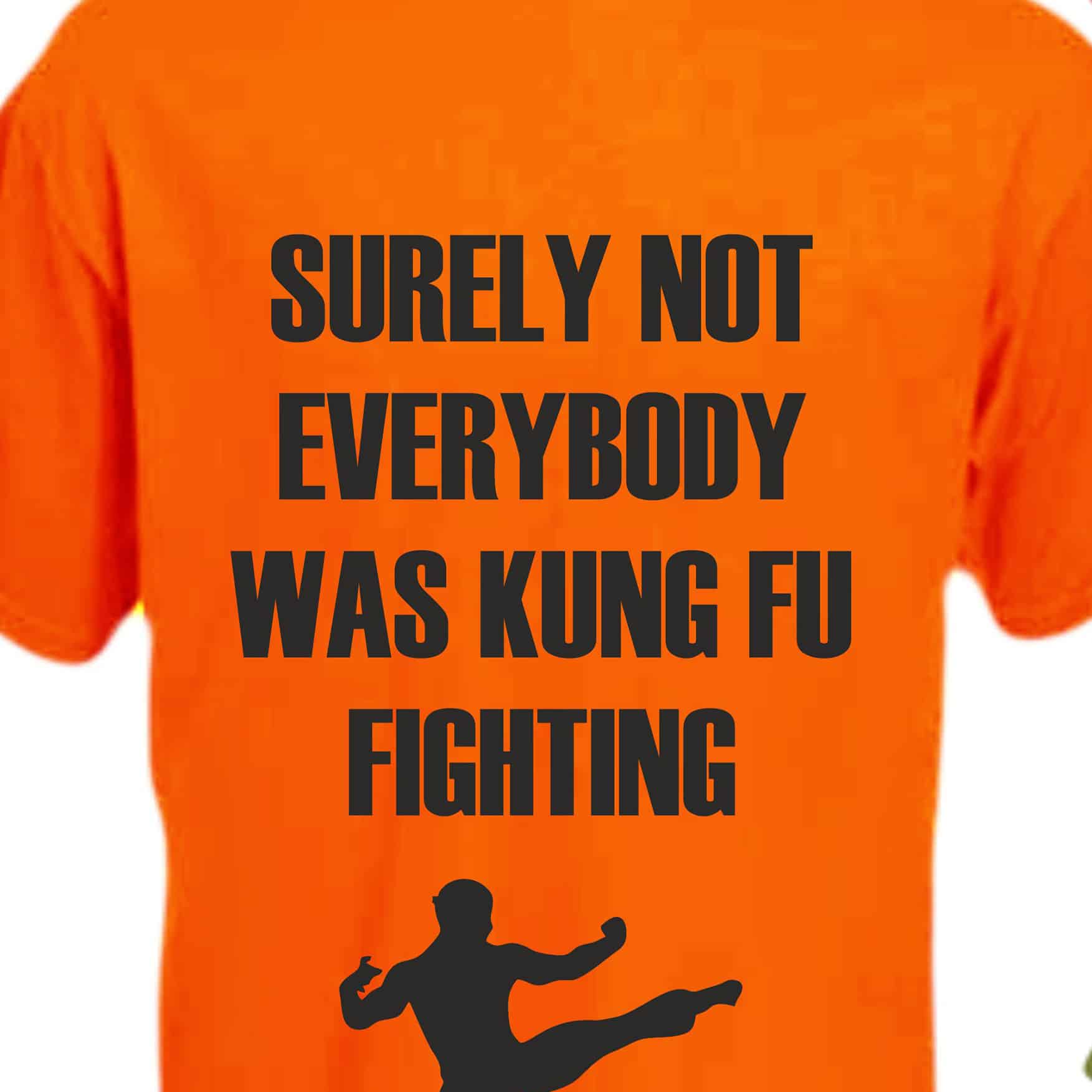 Camiseta De Regalo Divertida De Surely Not Everybody Was Kung Fu Fighting, Rojo, S